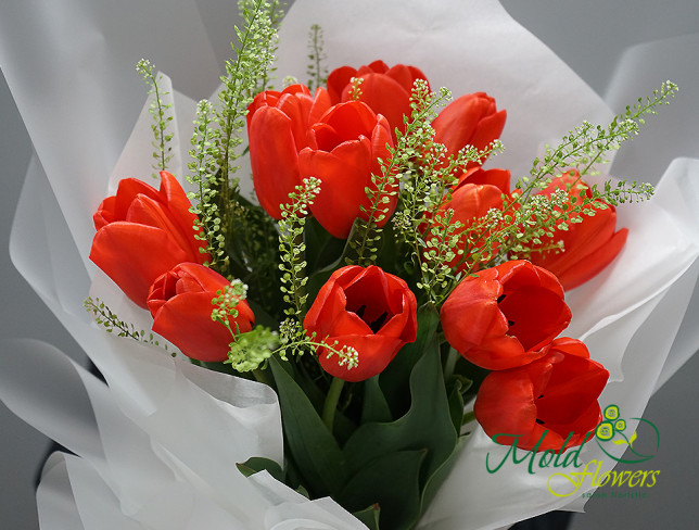 Букет из 11 красных тюльпанов Фото